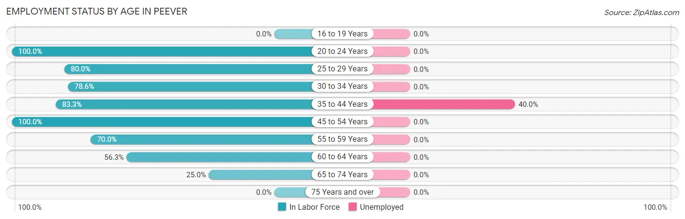 Employment Status by Age in Peever