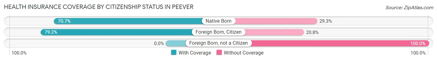 Health Insurance Coverage by Citizenship Status in Peever