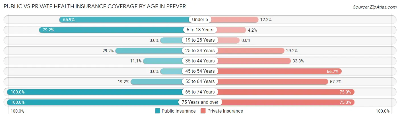 Public vs Private Health Insurance Coverage by Age in Peever
