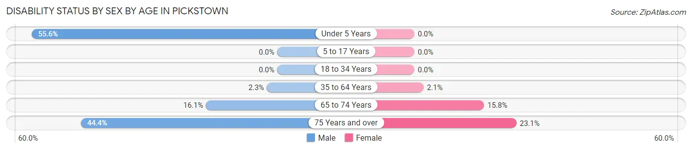 Disability Status by Sex by Age in Pickstown