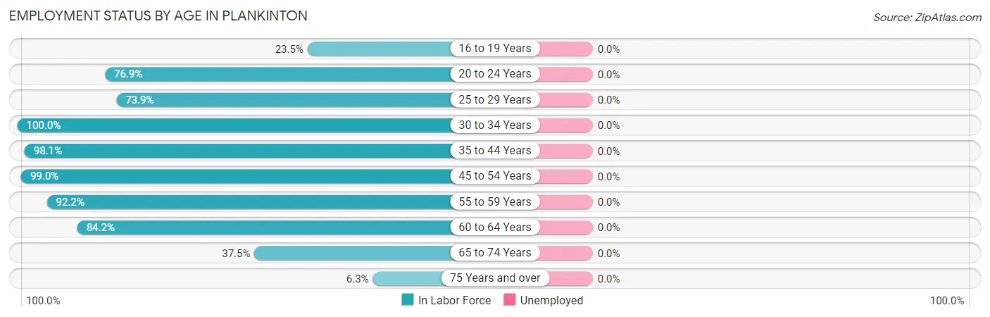 Employment Status by Age in Plankinton