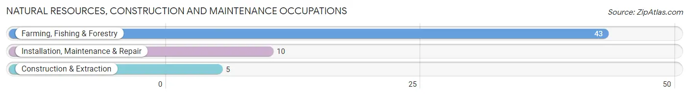 Natural Resources, Construction and Maintenance Occupations in Plankinton