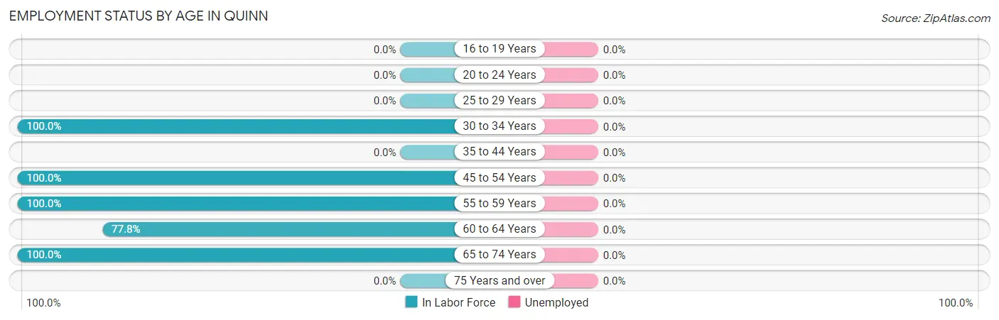 Employment Status by Age in Quinn