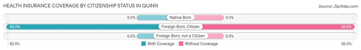 Health Insurance Coverage by Citizenship Status in Quinn