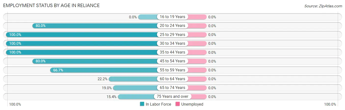 Employment Status by Age in Reliance