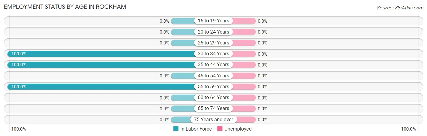Employment Status by Age in Rockham