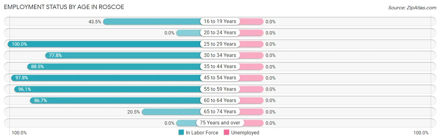 Employment Status by Age in Roscoe