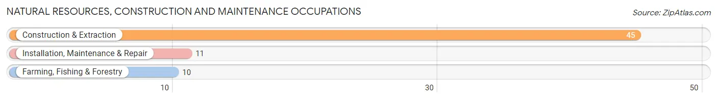 Natural Resources, Construction and Maintenance Occupations in Roscoe