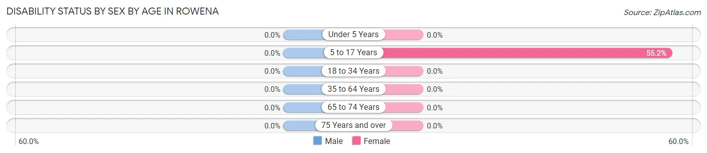 Disability Status by Sex by Age in Rowena