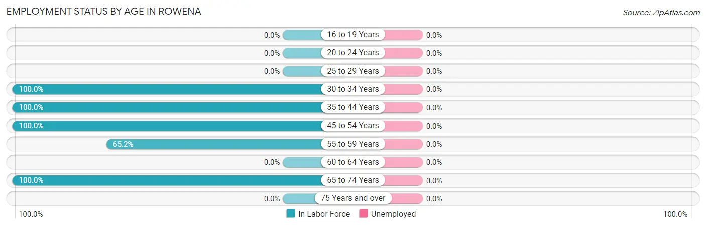 Employment Status by Age in Rowena