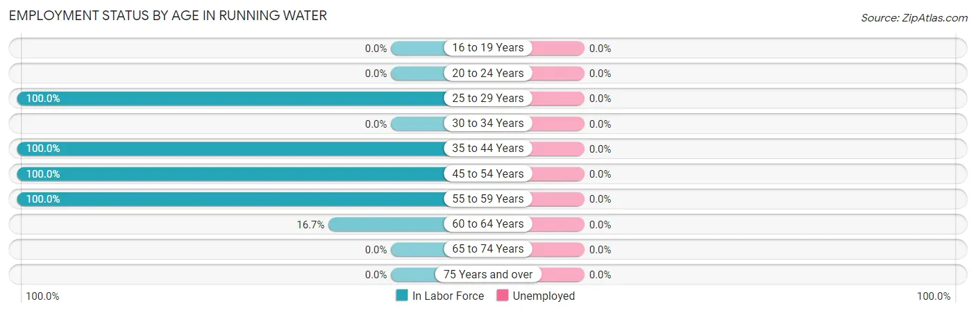 Employment Status by Age in Running Water