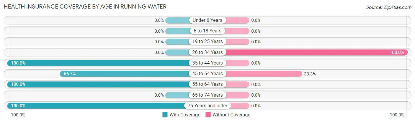 Health Insurance Coverage by Age in Running Water