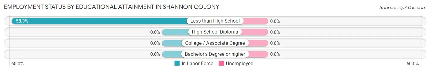 Employment Status by Educational Attainment in Shannon Colony