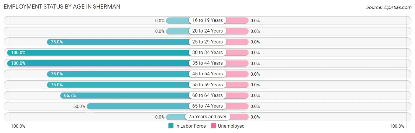 Employment Status by Age in Sherman