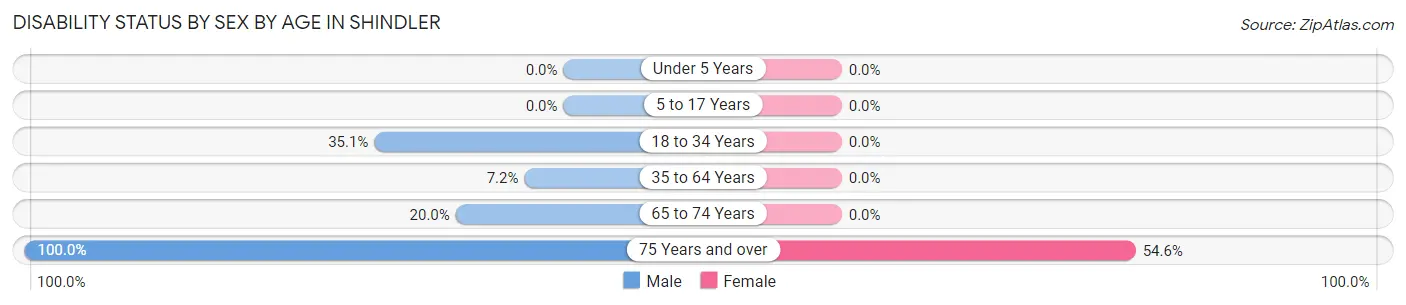 Disability Status by Sex by Age in Shindler