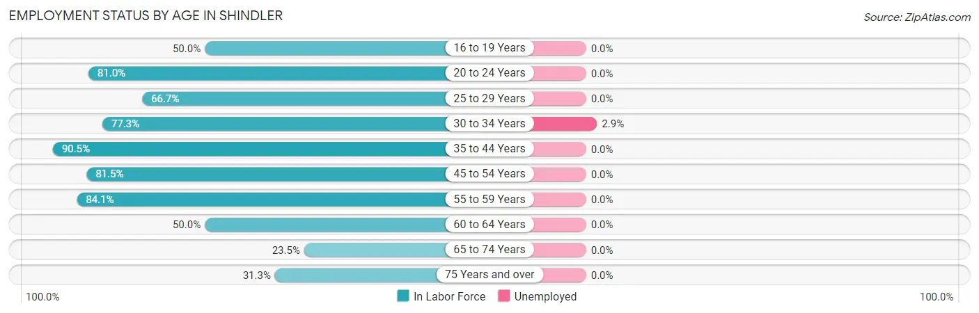 Employment Status by Age in Shindler