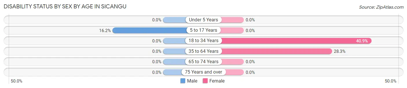 Disability Status by Sex by Age in Sicangu
