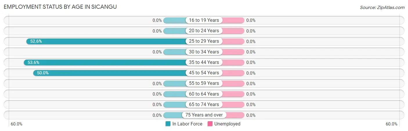 Employment Status by Age in Sicangu
