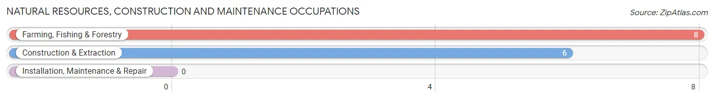 Natural Resources, Construction and Maintenance Occupations in Sinai