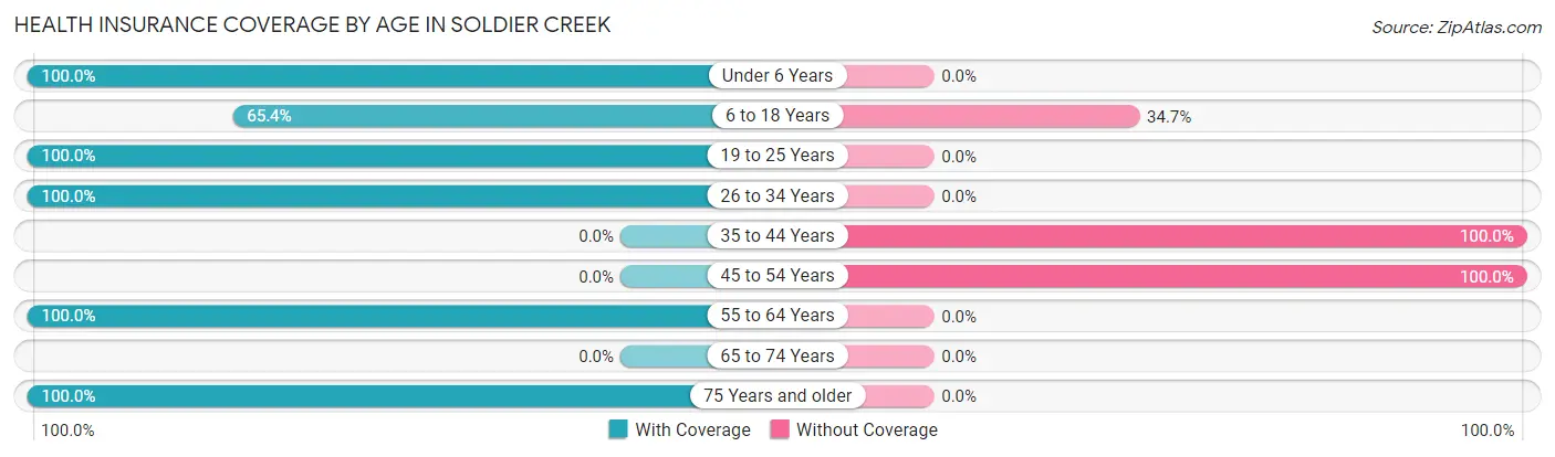 Health Insurance Coverage by Age in Soldier Creek