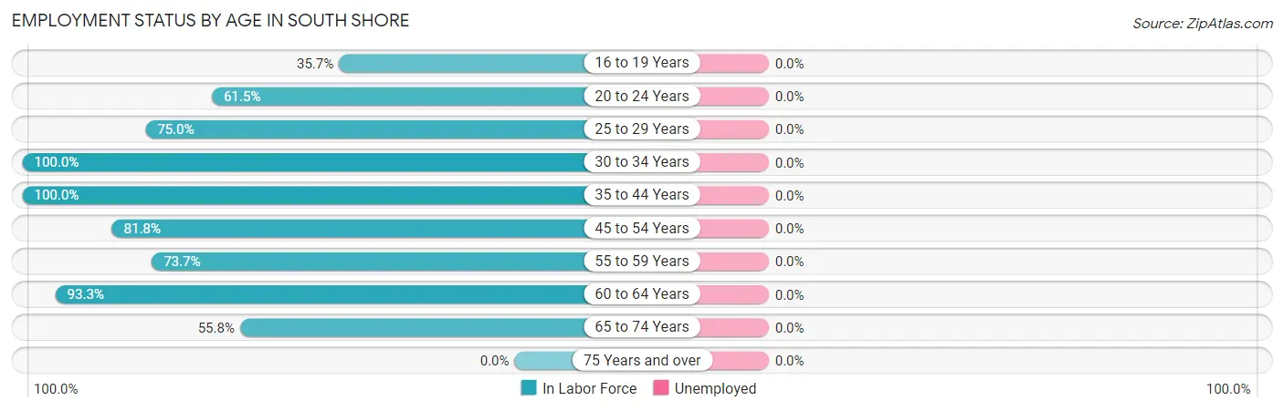 Employment Status by Age in South Shore