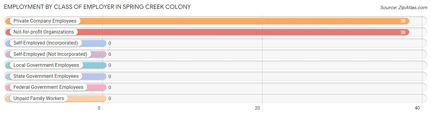 Employment by Class of Employer in Spring Creek Colony
