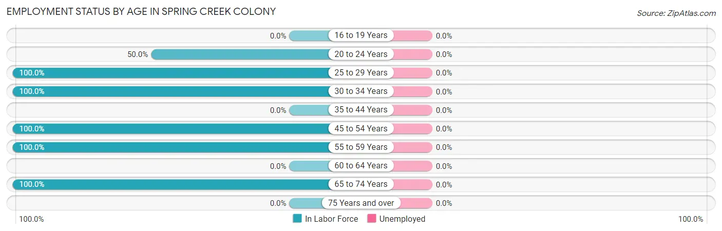Employment Status by Age in Spring Creek Colony