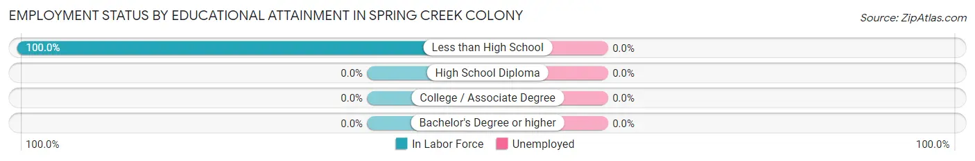 Employment Status by Educational Attainment in Spring Creek Colony