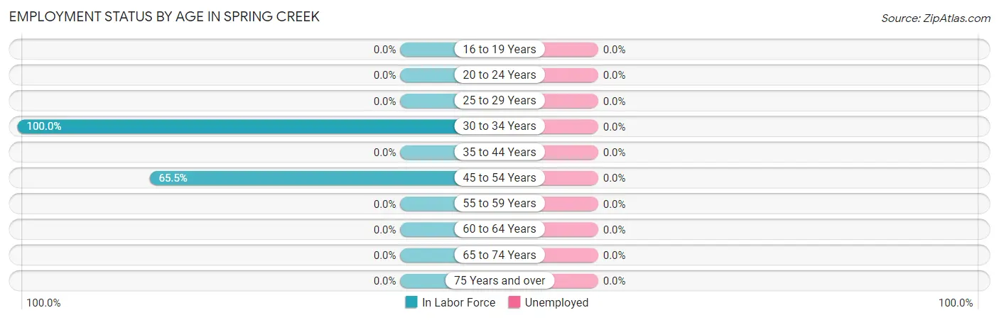 Employment Status by Age in Spring Creek