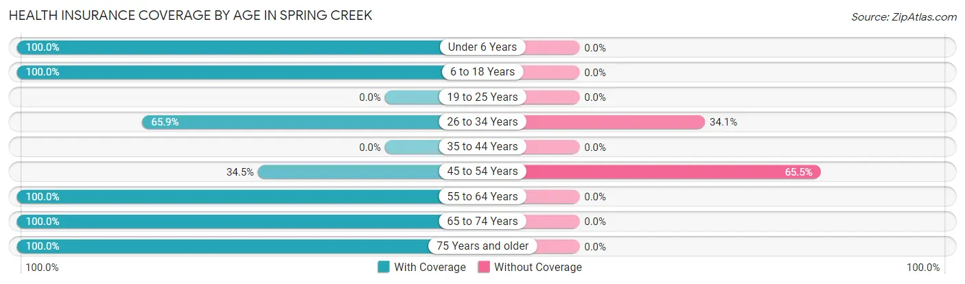 Health Insurance Coverage by Age in Spring Creek