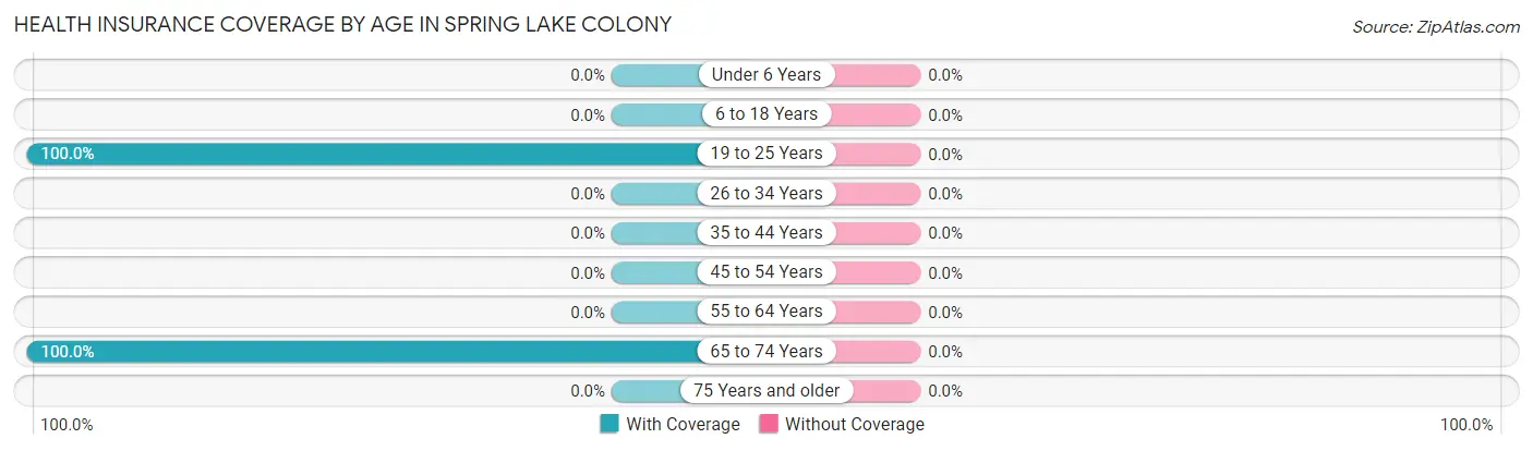 Health Insurance Coverage by Age in Spring Lake Colony