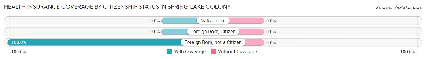 Health Insurance Coverage by Citizenship Status in Spring Lake Colony