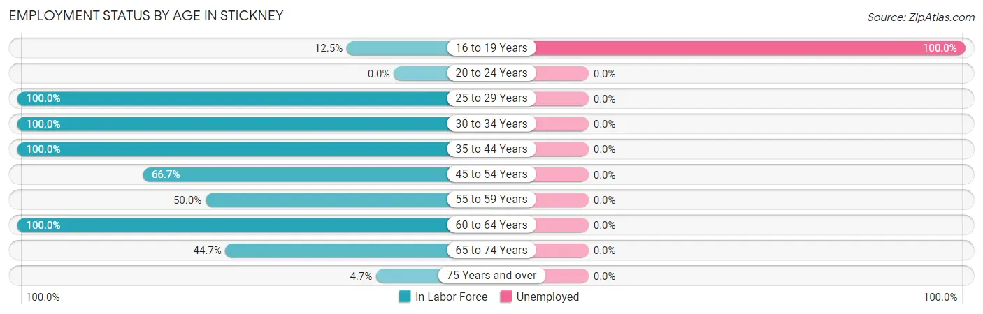 Employment Status by Age in Stickney