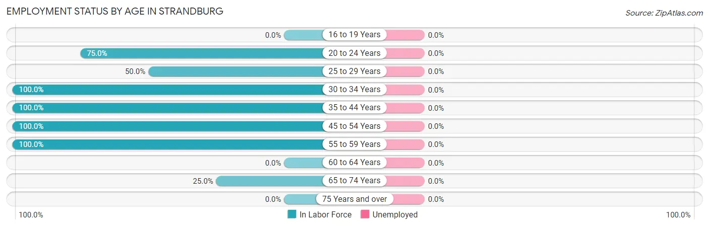 Employment Status by Age in Strandburg