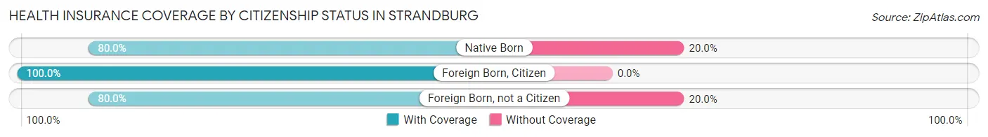 Health Insurance Coverage by Citizenship Status in Strandburg