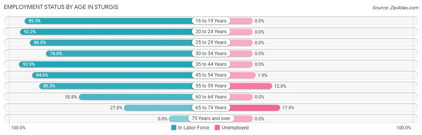 Employment Status by Age in Sturgis