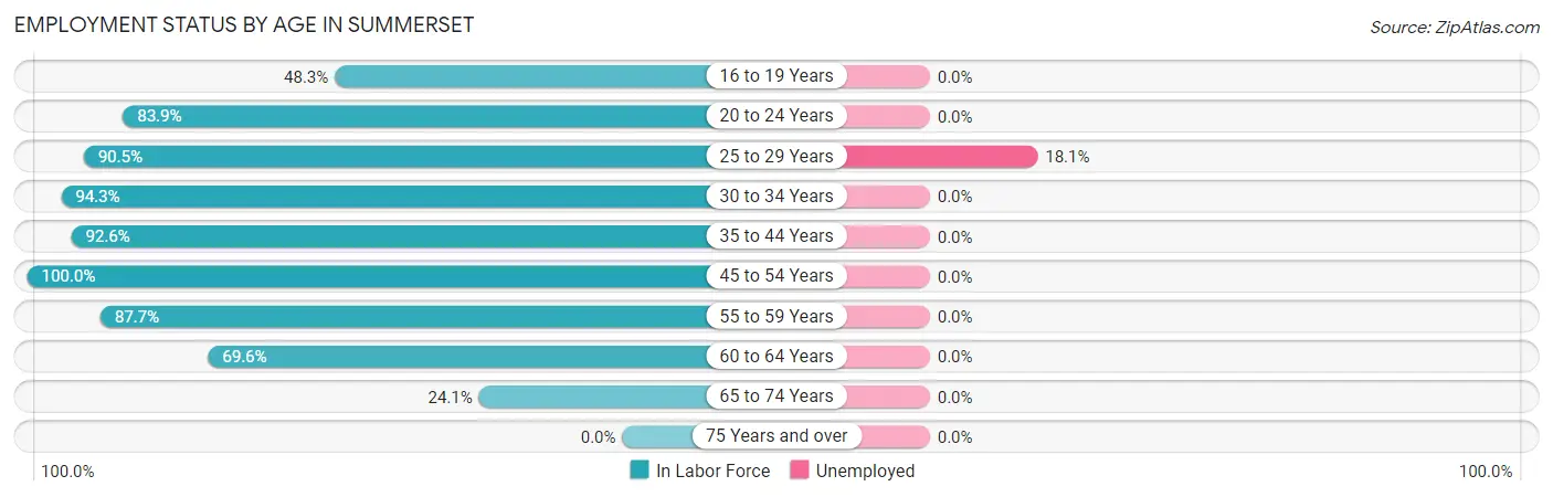 Employment Status by Age in Summerset