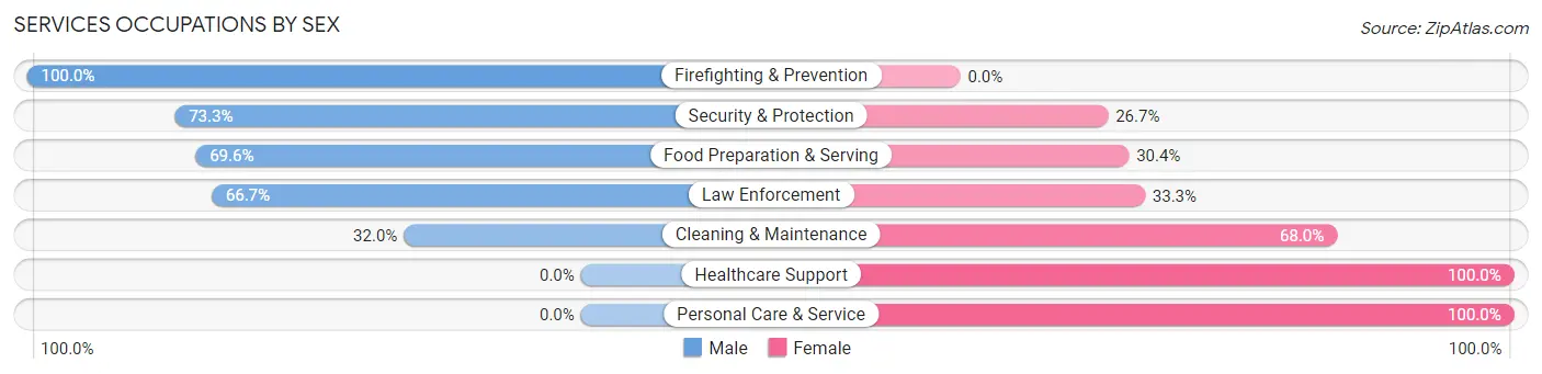 Services Occupations by Sex in Summerset