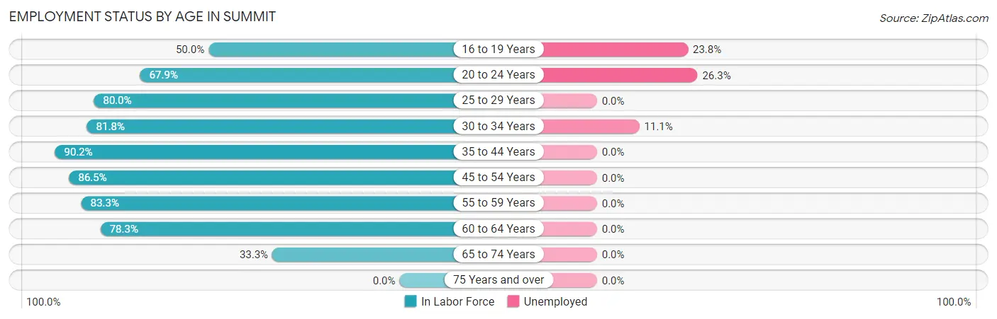 Employment Status by Age in Summit