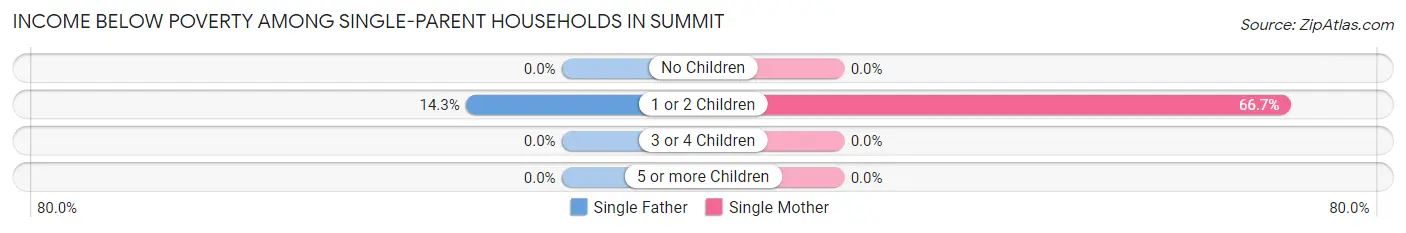 Income Below Poverty Among Single-Parent Households in Summit