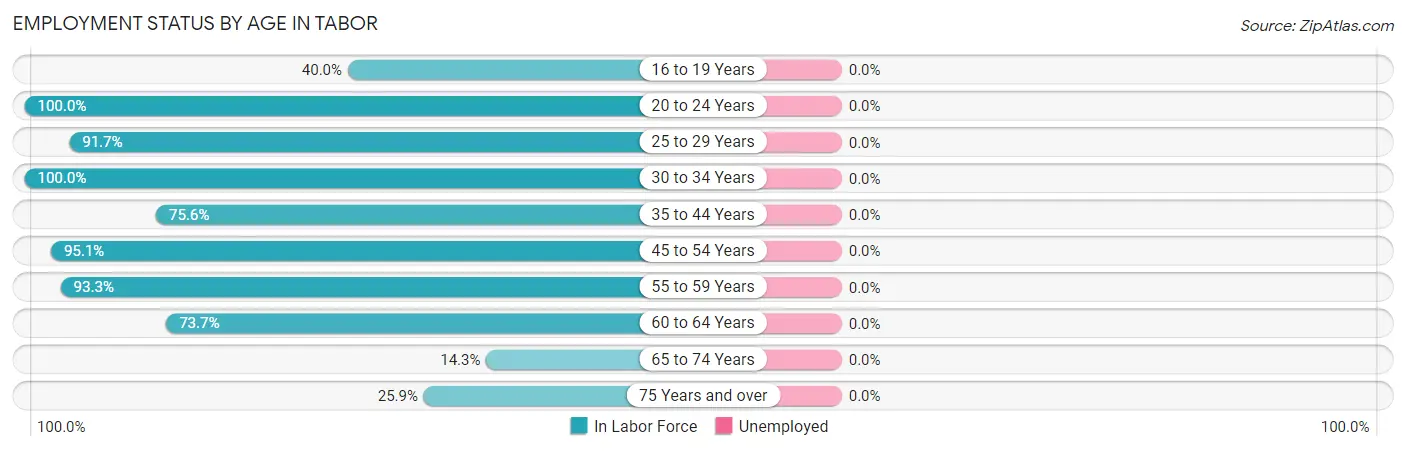 Employment Status by Age in Tabor