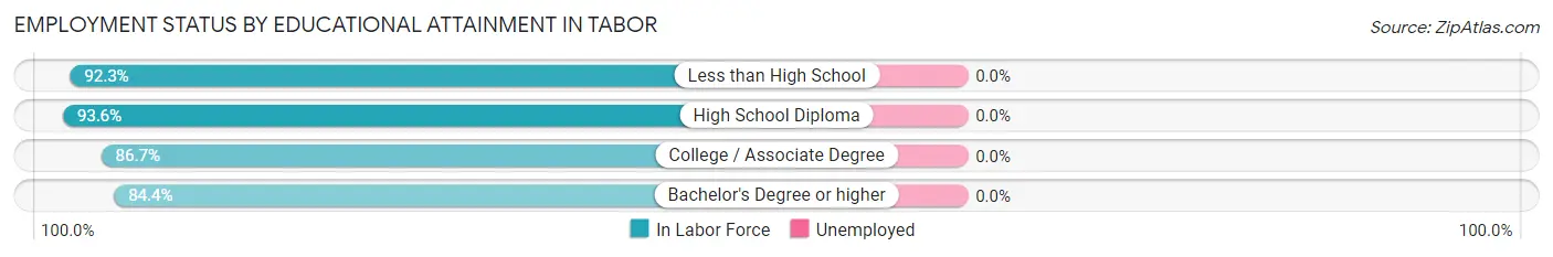 Employment Status by Educational Attainment in Tabor