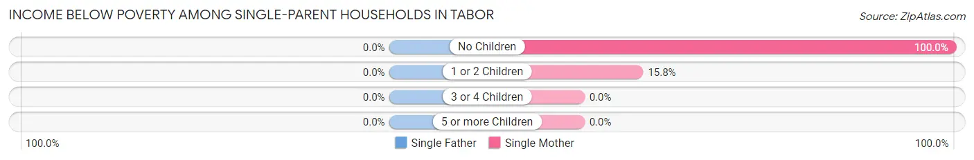 Income Below Poverty Among Single-Parent Households in Tabor
