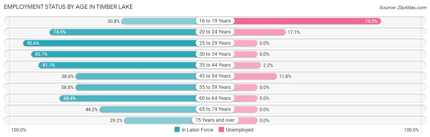 Employment Status by Age in Timber Lake