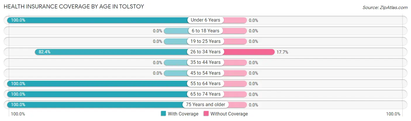 Health Insurance Coverage by Age in Tolstoy