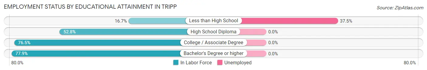 Employment Status by Educational Attainment in Tripp