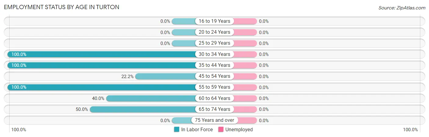 Employment Status by Age in Turton