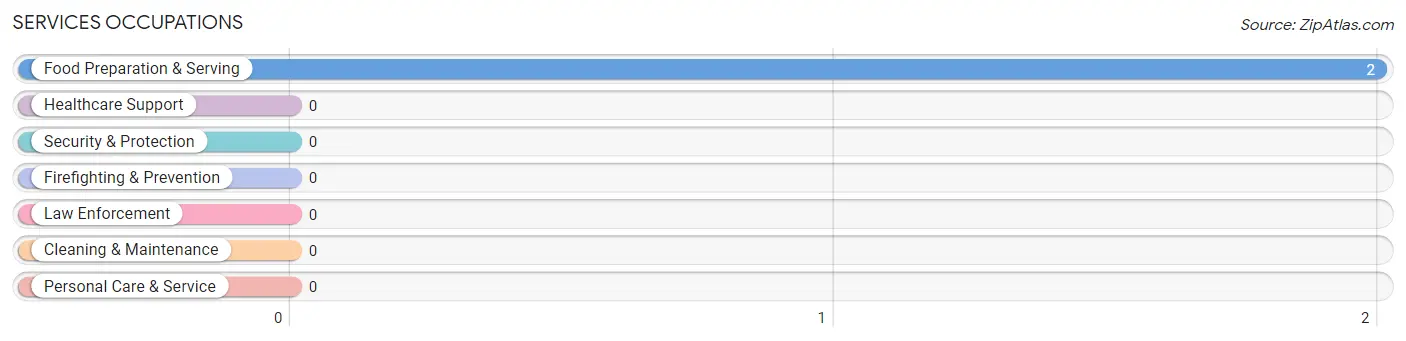 Services Occupations in Twin Brooks