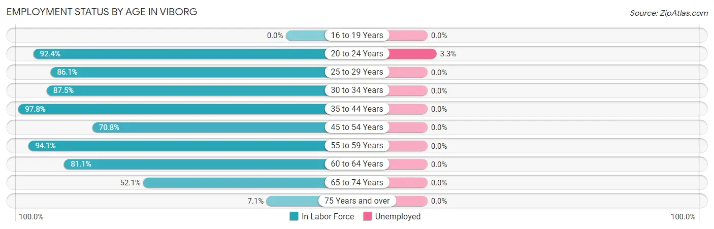Employment Status by Age in Viborg