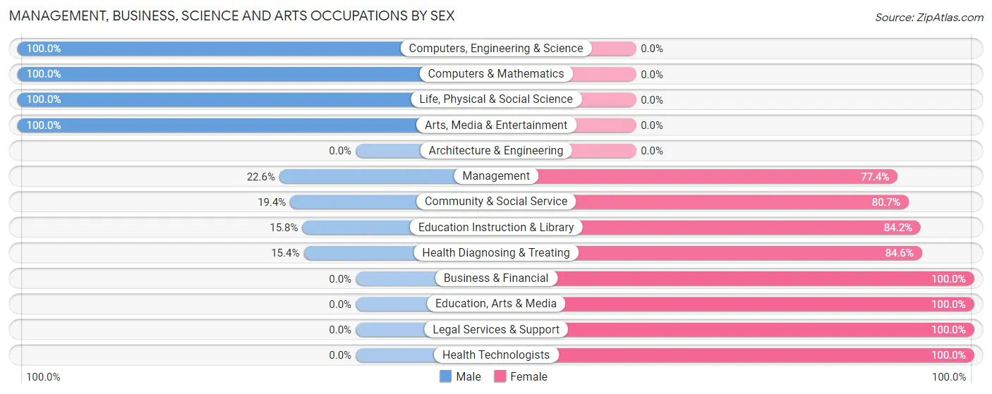 Management, Business, Science and Arts Occupations by Sex in Viborg
